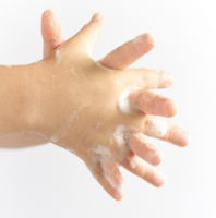 ノロウイルスの予防は手洗いの徹底が重要